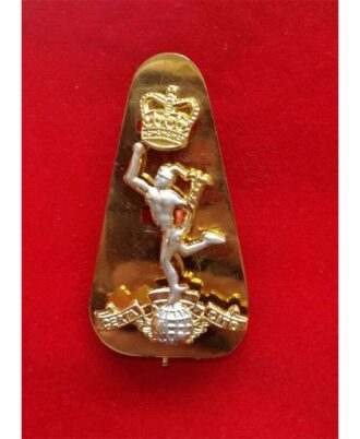 ROYAL-SIGNALS-METAL-CAP-BADGE-BRITISH-ARMY-ROYAL-CORP-OF-SIGNALS-BADGE-&-PLATE